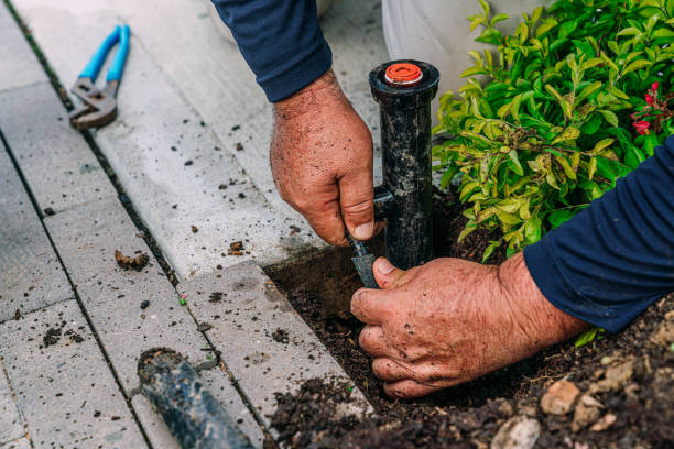 Landscaping, exterior maintenance