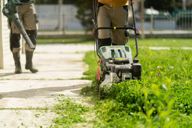 Landscaping, mowing, exterior maintenance