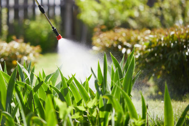 Landscaping, exterior maintenance, insecticide