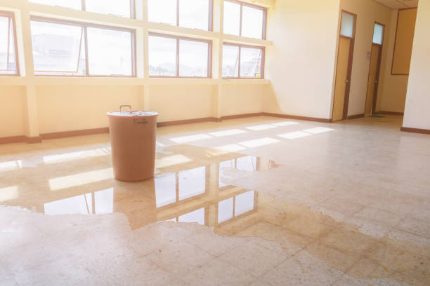 flood restoration
flood remediation
flood damage
flood repair