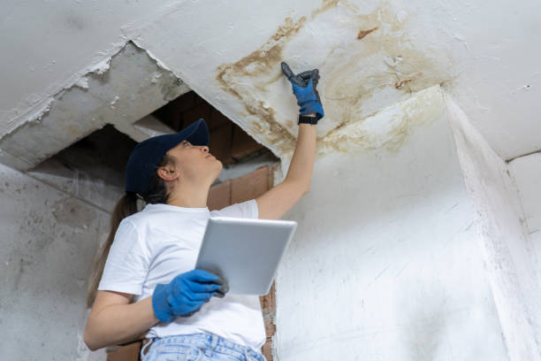 flood restoration
flood remediation
flood damage
flood repair
