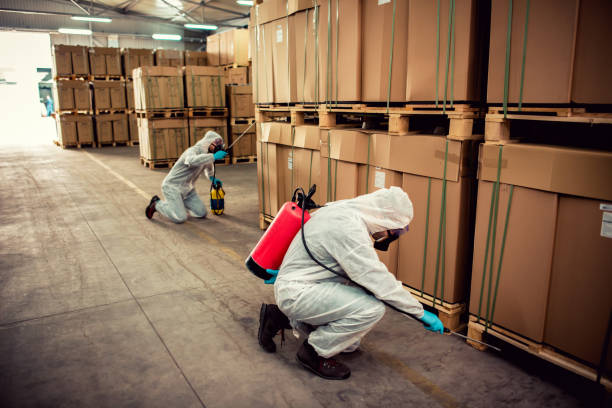 Pest Control
Exterminator
Commercial Pest Control