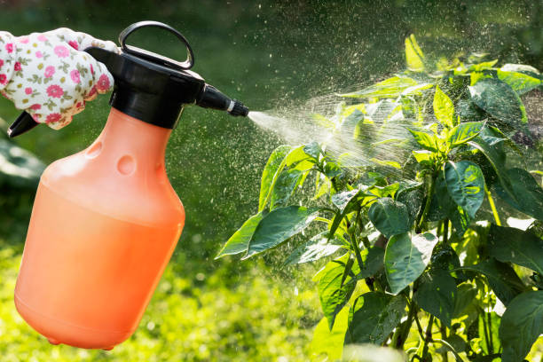 Pest Control
Preventative Maintenance
Commercial Pest Control